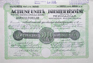 Mezgazdk Kereskedelmi Rszvnytrsasg rszvny 10x300 3000 lei 1923 Arad