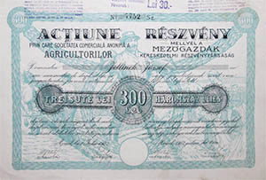 Mezgazdk Kereskedelmi Rszvnytrsasg rszvny 300 lei 1923 Arad