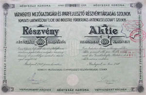 Vrmegyei Mezgazdasgi s Iparfejlesztsi Rszvnytrsasg Szolnok rszvny 100 korona 1918