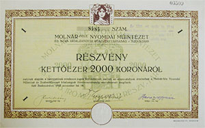 Molnár-féle Nyomdai Műintézet és Szabadalmazott Iróalzatgyár Részvénytársaság részvény 2000 korona 1923 Szekszárd