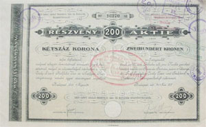 Gróf Csáky László Prakfalvi Vas- és Acélgyár Részvénytársaság részvény 200 korona 1917