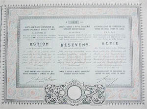 Langer T. (Tivadar) Osztrák és Magyar Szabadalmait Értékesítő Részvénytársaság részvény 100 forint 1894